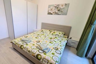 Apartament cu 2 camere semidecomandat în Bariera Vâlcii - 3