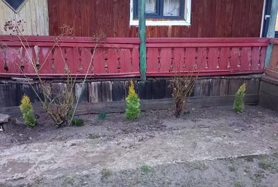 Casă cu Teren 1171 Mp în Bodești