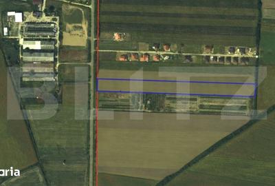 Teren de 14560 mp, în Lazuri