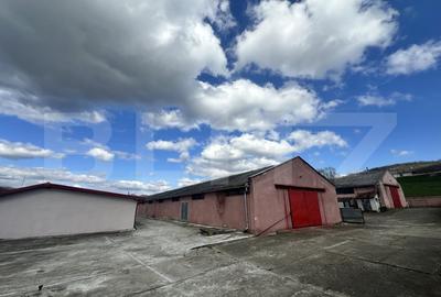 Spațiu industrial, de 356 mp, în Exterior Nord