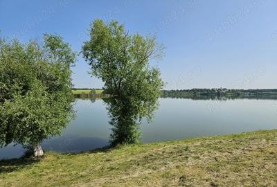 Teren de 9400 mp, în Gruiu - 4