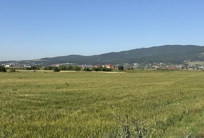 Teren agricol intravilan de 11100 mp, în Bărăbanț - 3