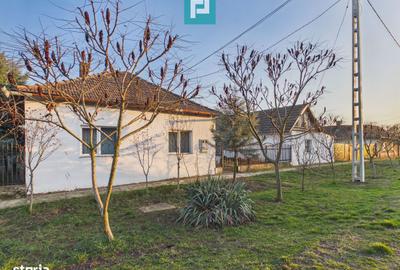 Casă cu 7 camere cu Teren 3141 Mp în Macea - 18