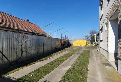 Casă cu Teren 3860 Mp în Borș - 5