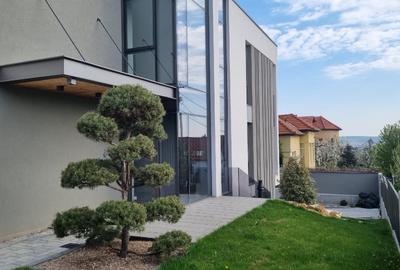 Casă cu 12 camere cu Teren 630 Mp în Andrei Mureșanu - 2