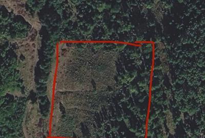 Teren de 10000 mp, în Roșia - 1