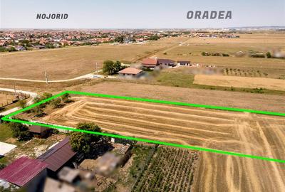 Teren intravilan de 3000 mp, în Nojorid - 4