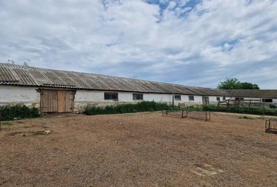 Teren Construcții intravilan de 9300 mp, în Cochirleni - 5