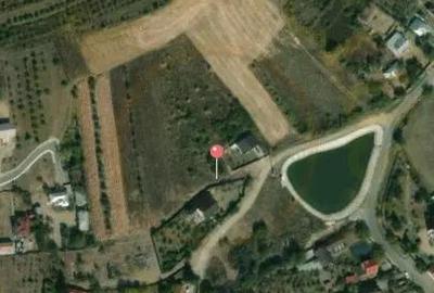 Teren de 533 mp, în Albota - 7