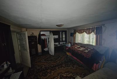 Casă individuală cu 4 camere cu Teren 8700 Mp în Băița - 15