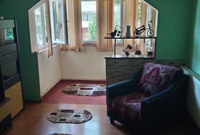 Apartament cu 2 camere semidecomandat în Craiovița Nouă - 4