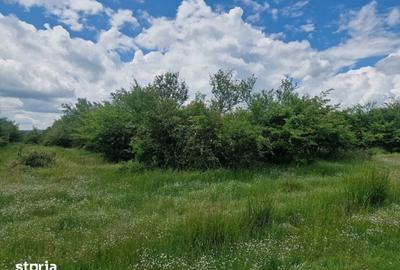 Teren de 3006 mp, în Mărășești - 2