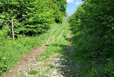 Teren agricol extravilan de 5967 mp, în Tălmaciu - 10