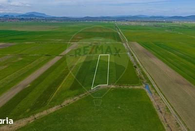 Teren de 4000 mp, în Prejmer - 2