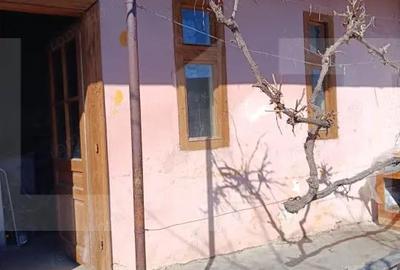 Casă cu 4 camere cu Teren 210 Mp în Iosefin - 3