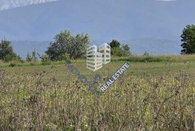 Teren de 896 mp, în Șercaia - 2
