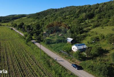 Casă cu 1 camere cu Teren 4162 Mp în Vultureni - 3