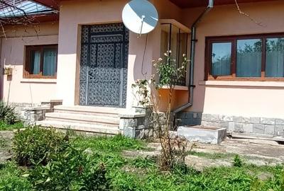 Casă cu 3 camere cu Teren 3200 Mp în Mislea - 3