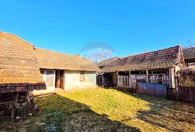 Casă individuală cu 4 camere cu Teren 10486 Mp în Ierșnic - 11