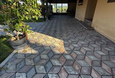 Casă cu 4 camere în Bâldana - 2