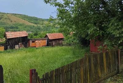 Casă cu 2 camere cu Teren 3300 Mp în Răzoare