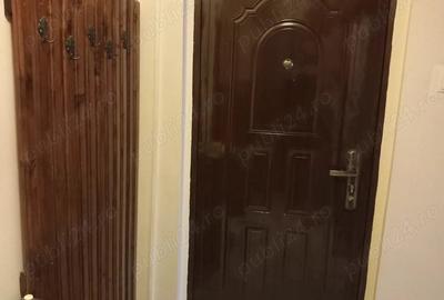 Apartament cu 2 camere semidecomandat în Banat - 1