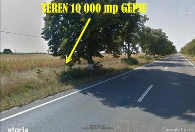 Teren de 10000 mp, în Gepiu - 6