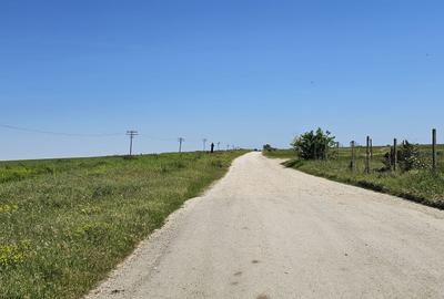 Teren Construcții extravilan de 14800 mp, în Tuzla - 2