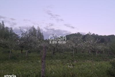 Teren de 1131 mp, în Mănești