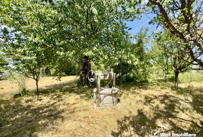 Teren agricol intravilan de 1051 mp, în Borhanci - 6