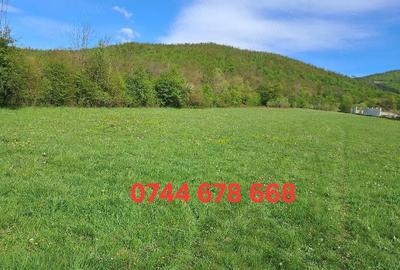 Teren de 9260 mp, în Remetea