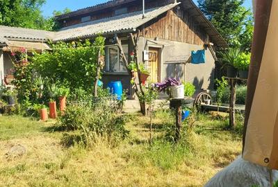 Casă cu 3 camere în Albina - 5