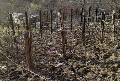 Casă cu 3 camere în Făget - 2