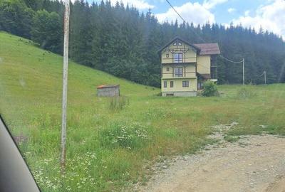 Teren de 2500 mp, în Valea Doftanei - 4