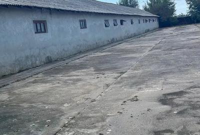 Teren de 5000 mp, în Central - 1