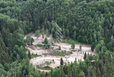 Teren Construcții extravilan de 18000 mp, în Exterior Sud - 16