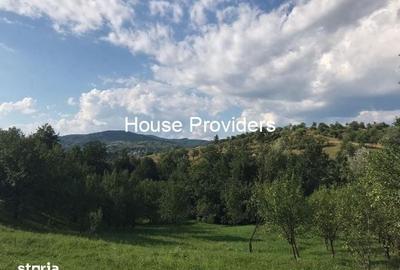 Teren de 6400 mp, în Drajna - 1