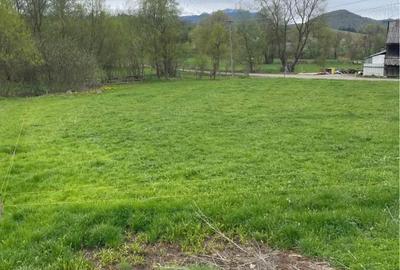 Teren de 1500 mp, în Vama Buzăului - 3