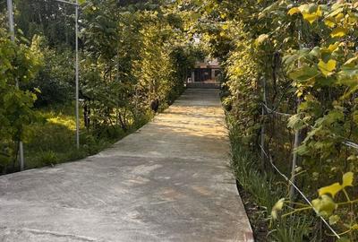 Casă cu 2 camere cu Teren 800 Mp în Ordoreanu - 8