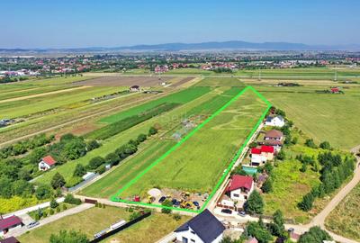 Teren Construcții intravilan de 20400 mp, în Stupini - 13