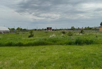 Teren Construcții intravilan de 2500 mp, în 1 Decembrie - 2