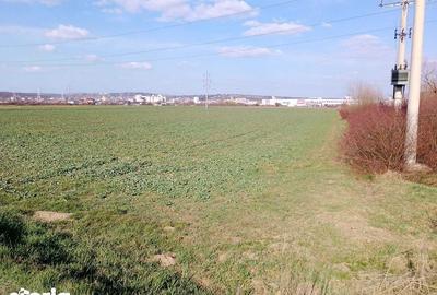 Teren de 30000 mp, în Mihai Viteazu