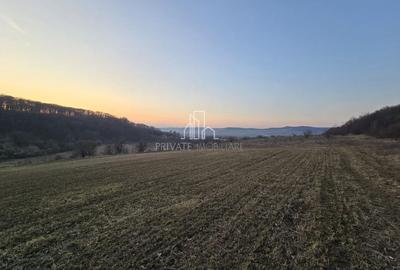 Teren agricol extravilan de 28800 mp, în Sud - 1