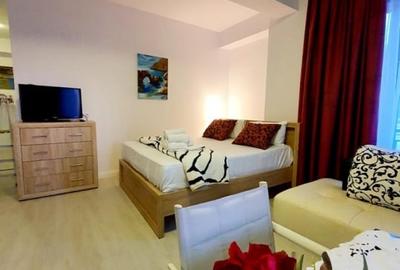 Apartament cu 2 camere decomandat, mobilat în Central - 2