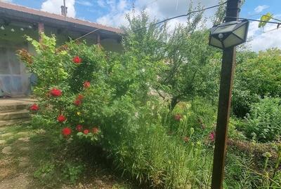 Casă cu 3 camere cu Teren 2000 Mp în Central - 1