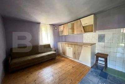 Casă cu 4 camere cu Teren 2534 Mp în Brănișca - 4