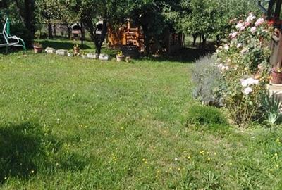 Casă cu 3 camere în Cărbunari - 10