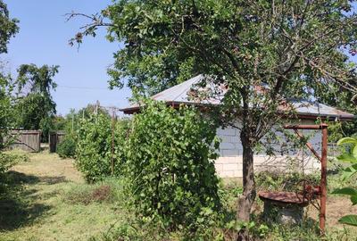 Casă cu 2 camere în Horia