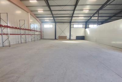 Spațiu industrial, de 300 mp, în Moșnița Nouă