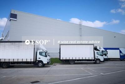 Spațiu industrial, de 2,500 mp, în Mogoșoaia - 3